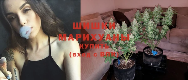 ALPHA PVP Беломорск