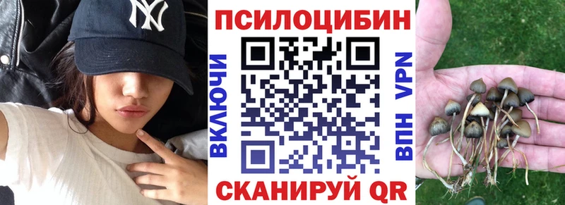 Купить где  Кропоткин  Псилоцибиновые грибы Psilocybe 