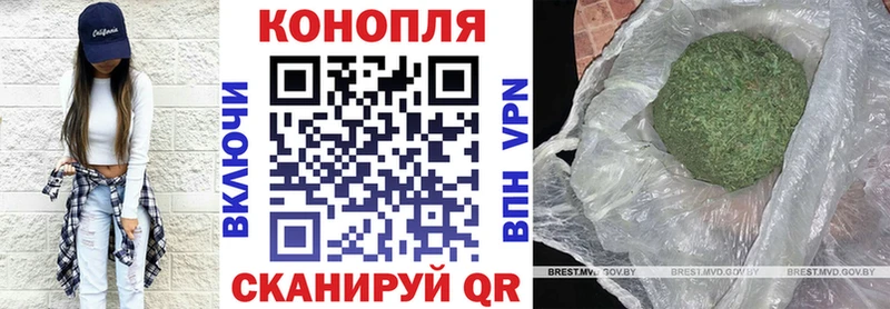 Конопля конопля  Купить где  Кропоткин 